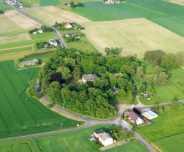 DSC02519