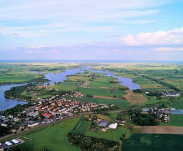 DSC02600
